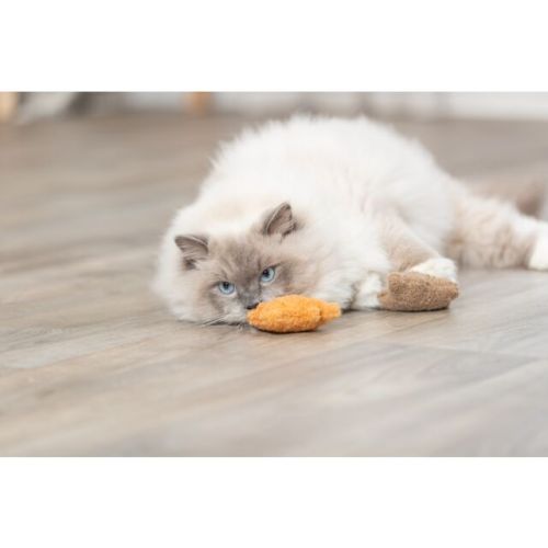 Trixie Kedi Oyuncağı, Peluş Ayı, Kediotlu 8cm